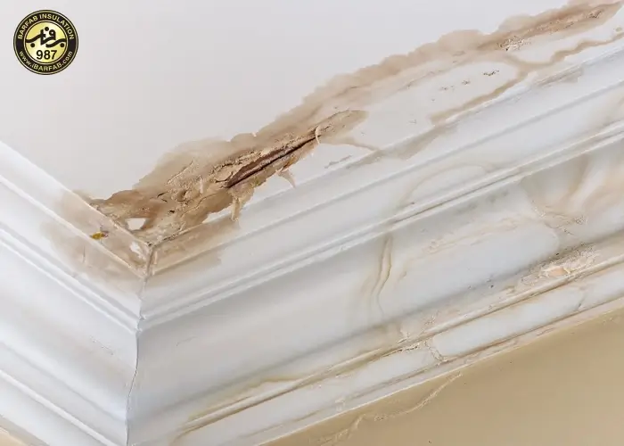 نشت آب - ایزوگام برفاب