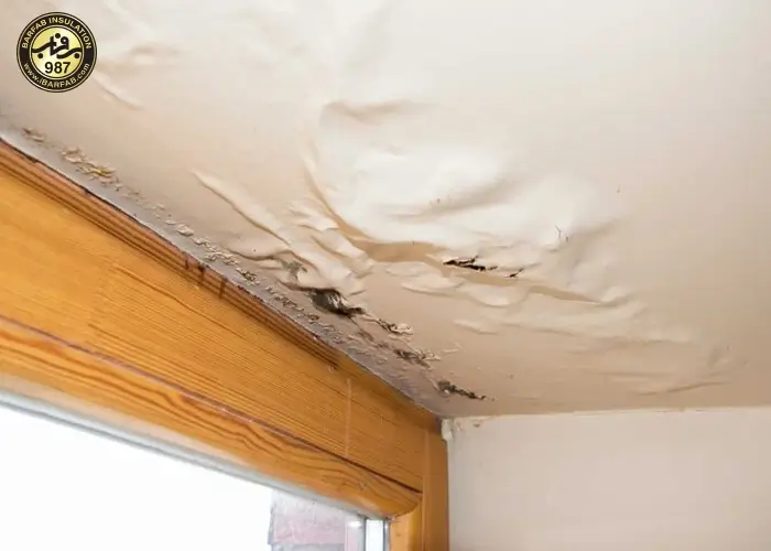 نشت ایزوگام - ایزوگام برفاب